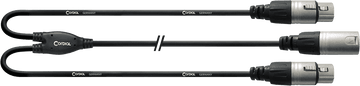 Cavo Y XRL Maschio / 2 XLR Femmine 30 CM