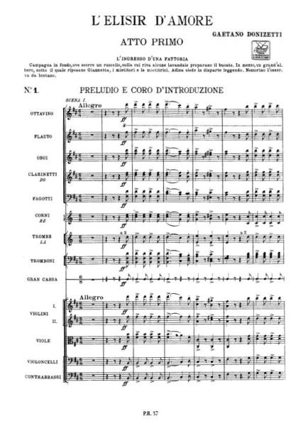 DONIZETTI G. - ELISIR D'AMORE - CONDUCTEUR