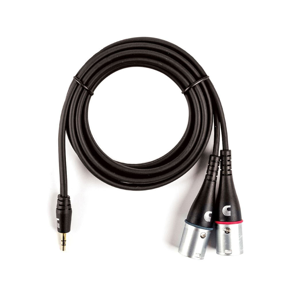 Custom Series 1/8 a cavo audio XLR doppio
