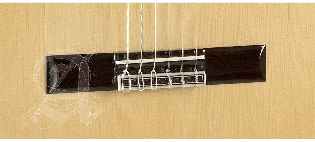 Concert 10Fc Flamenco + 9557 Case