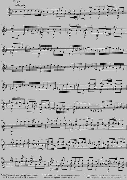 Bach J.S. - Sonaten und Partiten BWV 1001-1006 für Violine solo (notierte und kommentierte Fassung)