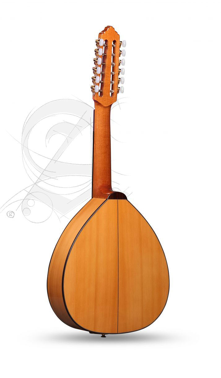 Conservatory L-6Fc Lutes + 9534 Gigbag