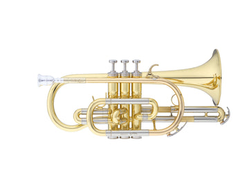 Cornet Bellecour Sib Verni