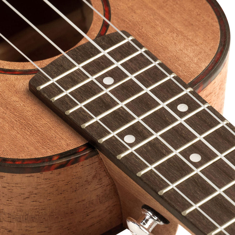 Hh 2026 Soprano Acajou
