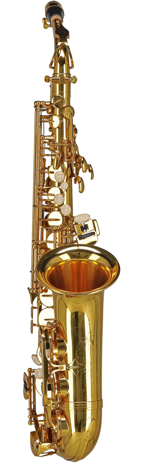 Ambition AS501 Alto Mib Verni