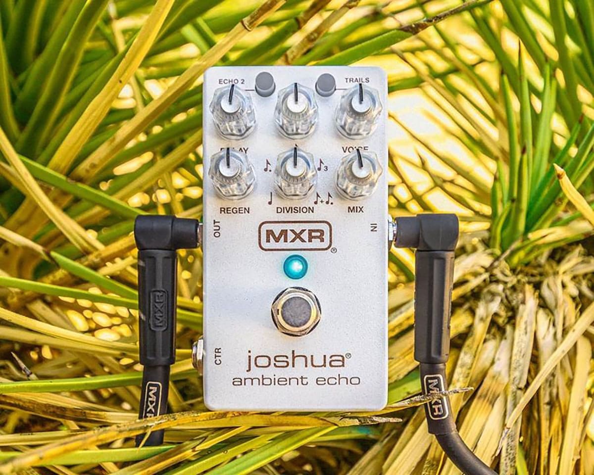 M309 Joshua Eco ambientale