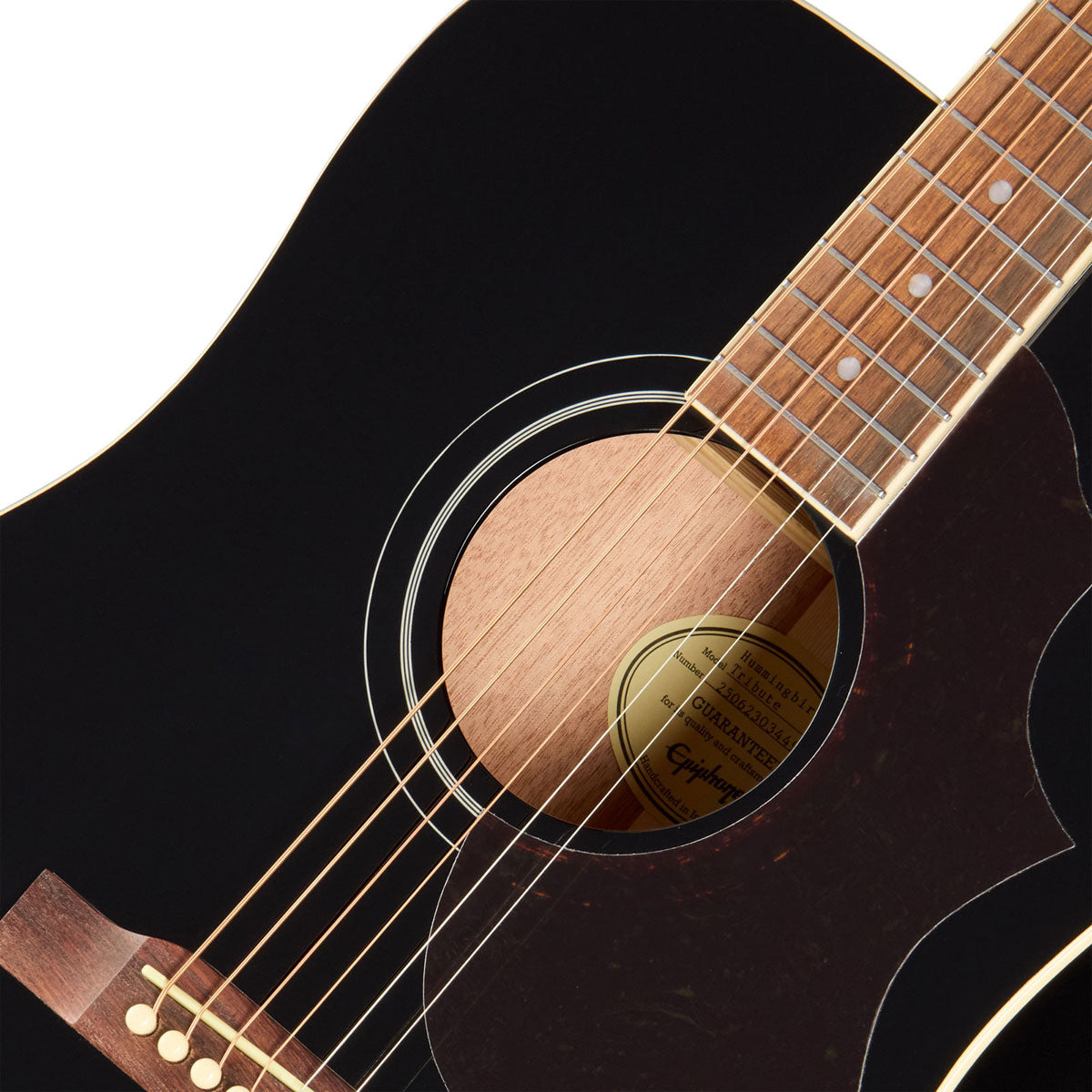 Hummingbird Tribute Ebano IBGM