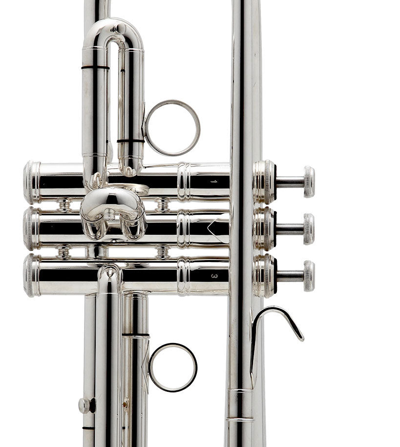 New Standard B Versilbert - BE111-2-0