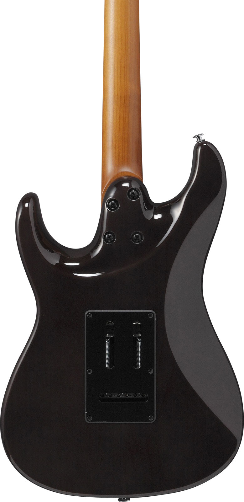 AZ22S1F-TKS Standard Transparent Black Sunburst