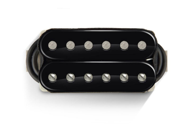 Nailbomb 6 AlNiCo Set Open BLACK-black Nickel Screw