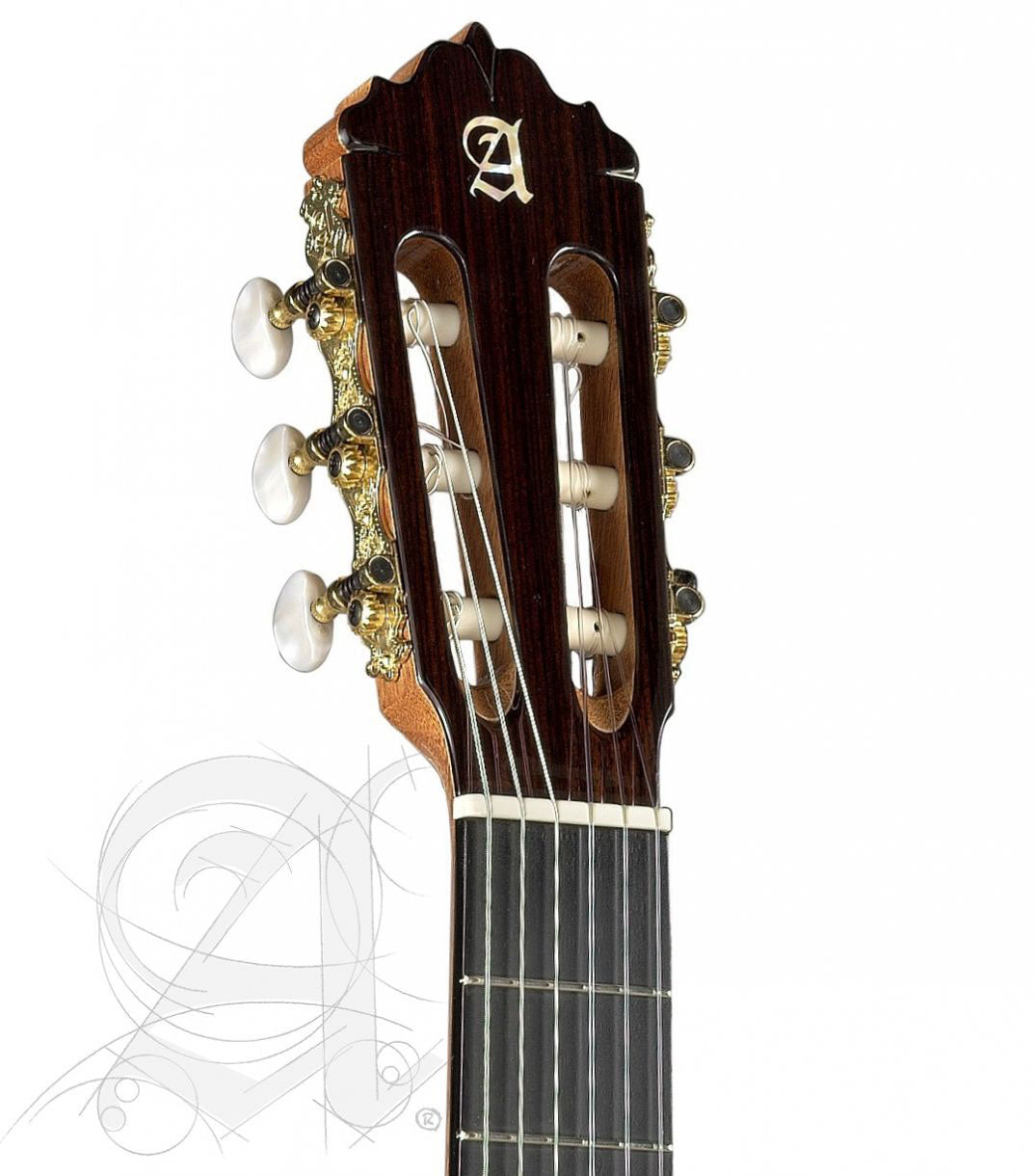Conservatoire 7FC Flamenco + 9738 25mm Housse