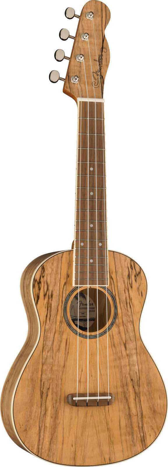 Zuma Uke Exotisch Konzert Wn Spalted Maple