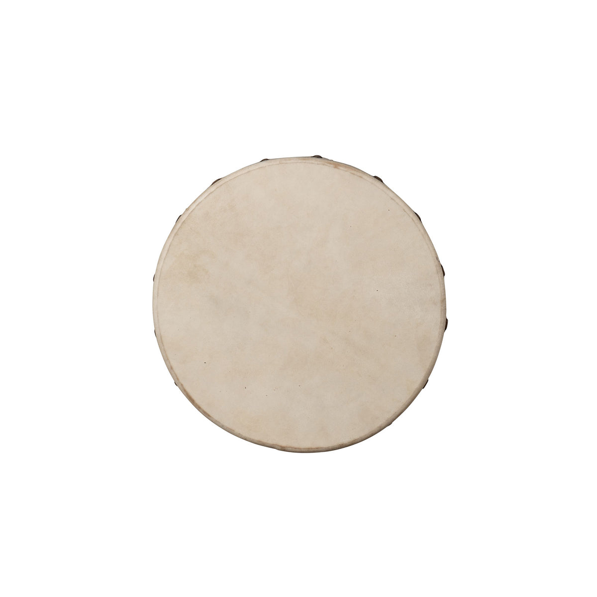 Shaman Drum Buffalo 14"