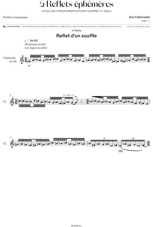 S. Fallahzadeh - 5 Reflets Éphémères