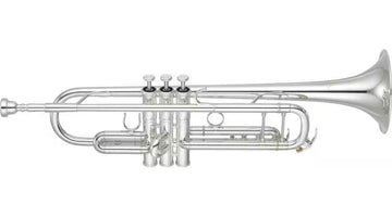 YTR8345GS Xeno Sib Argentata