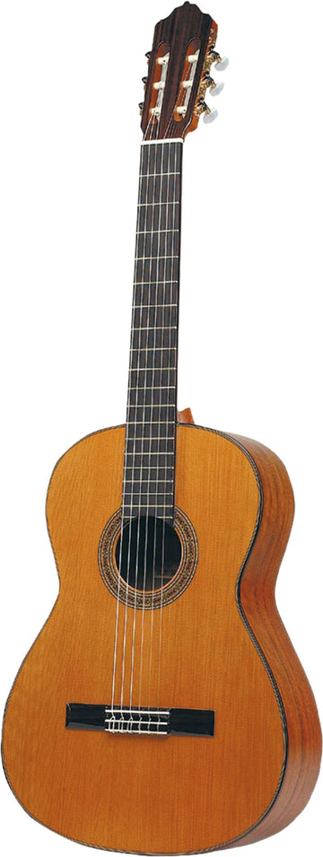 7SM Cedar + Case