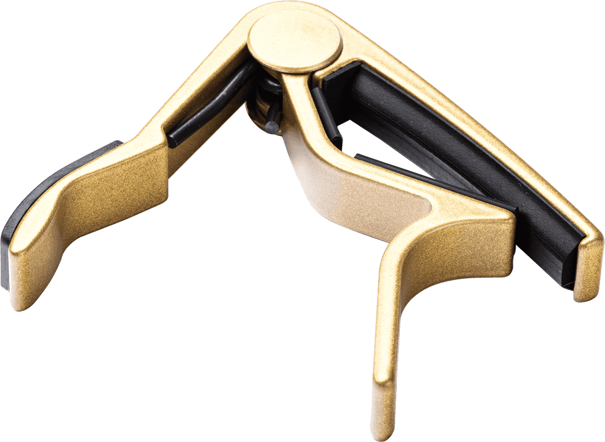Trigger Gold Folk