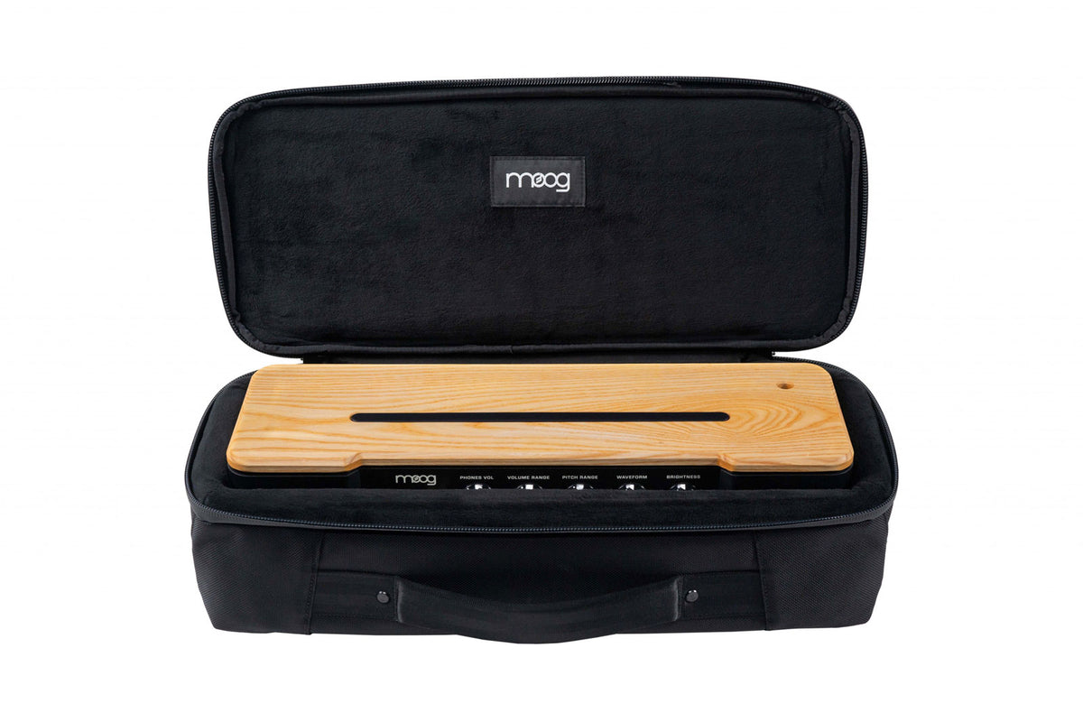 MOOG SR SERIES CASE: ETHERWAVE THEREMIN