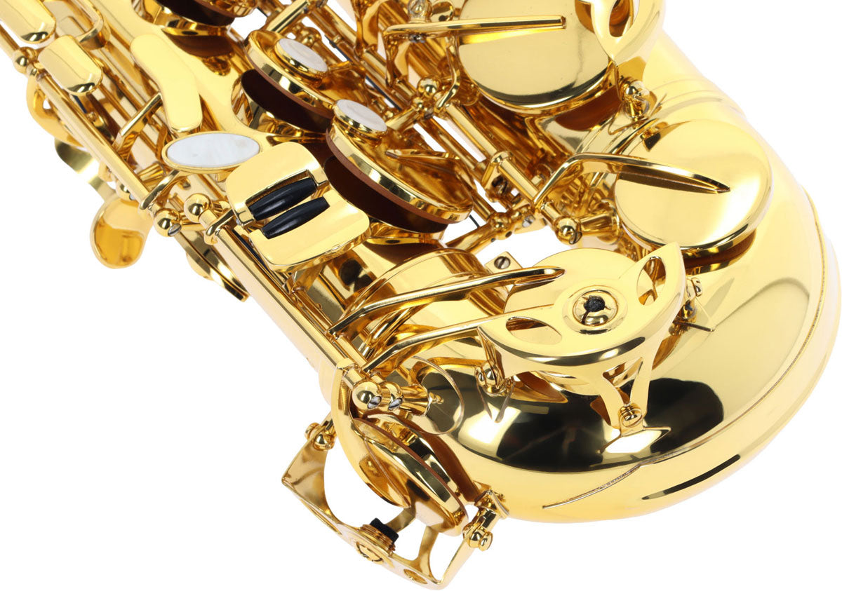 WSA300 - Alto Mi B Verni