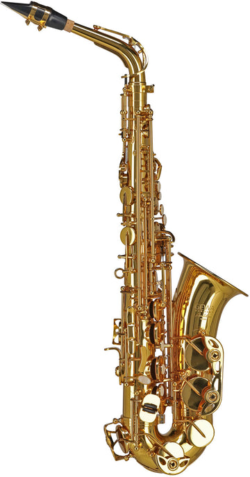 Ambition AS501 Alto Mib Verni