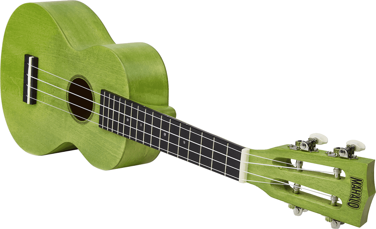 Ukulele Island Concert Sea Green + Hülle