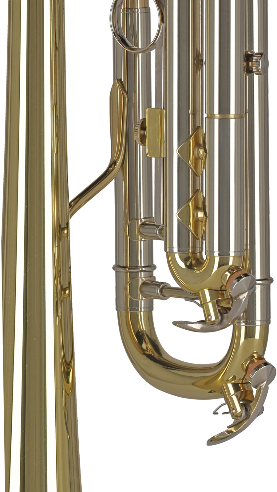 Ambition TR501 Sib Vernie