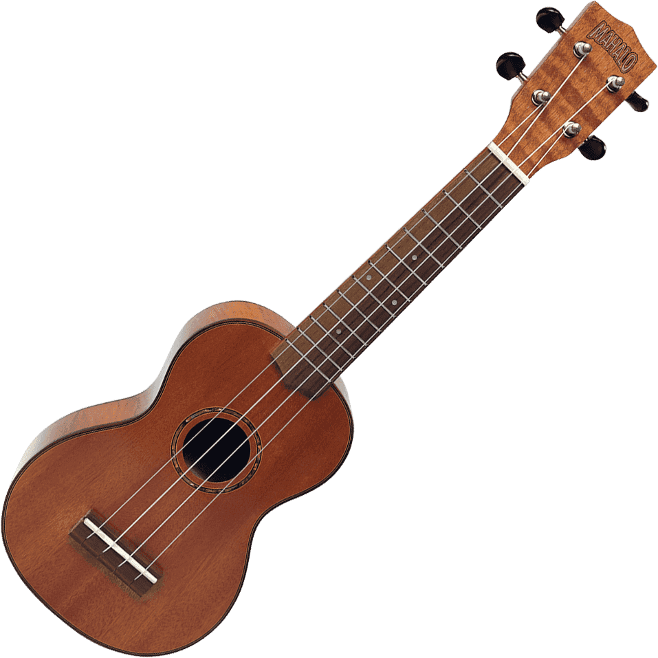 Acajou Massif Soprano + Housse