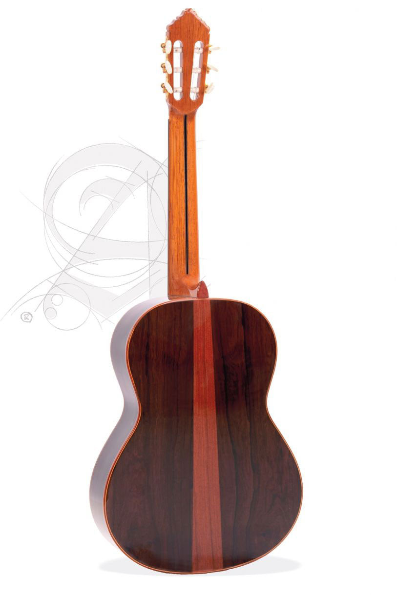 Professionnel Luthier Premier Pro Madagascar + 9650 Bam Iconic Etui
