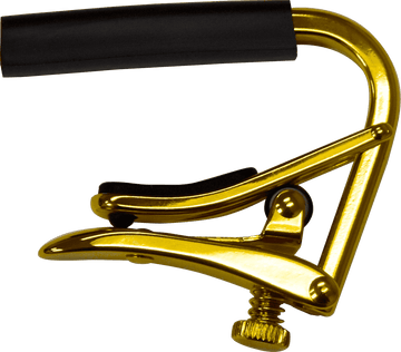 Oro acustica/elettrica