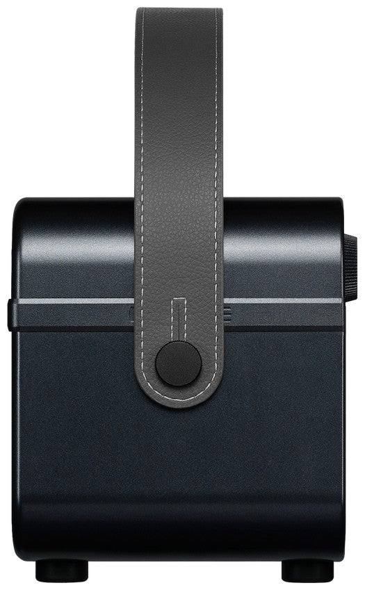 Hotone AP-20BK Pulze Jr. Schwarz