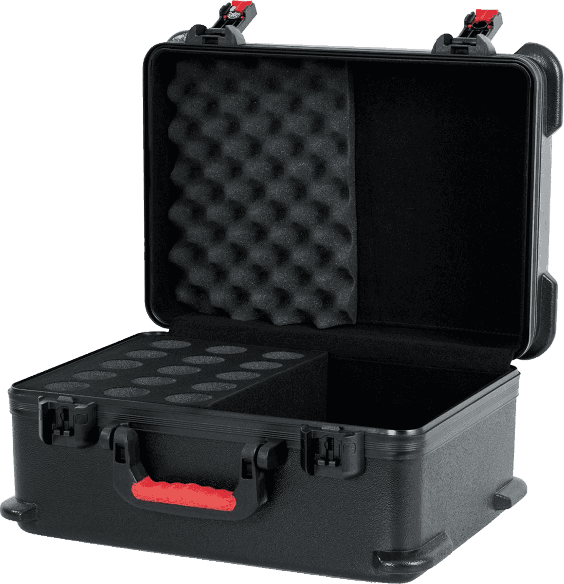 GTSA-MIC15