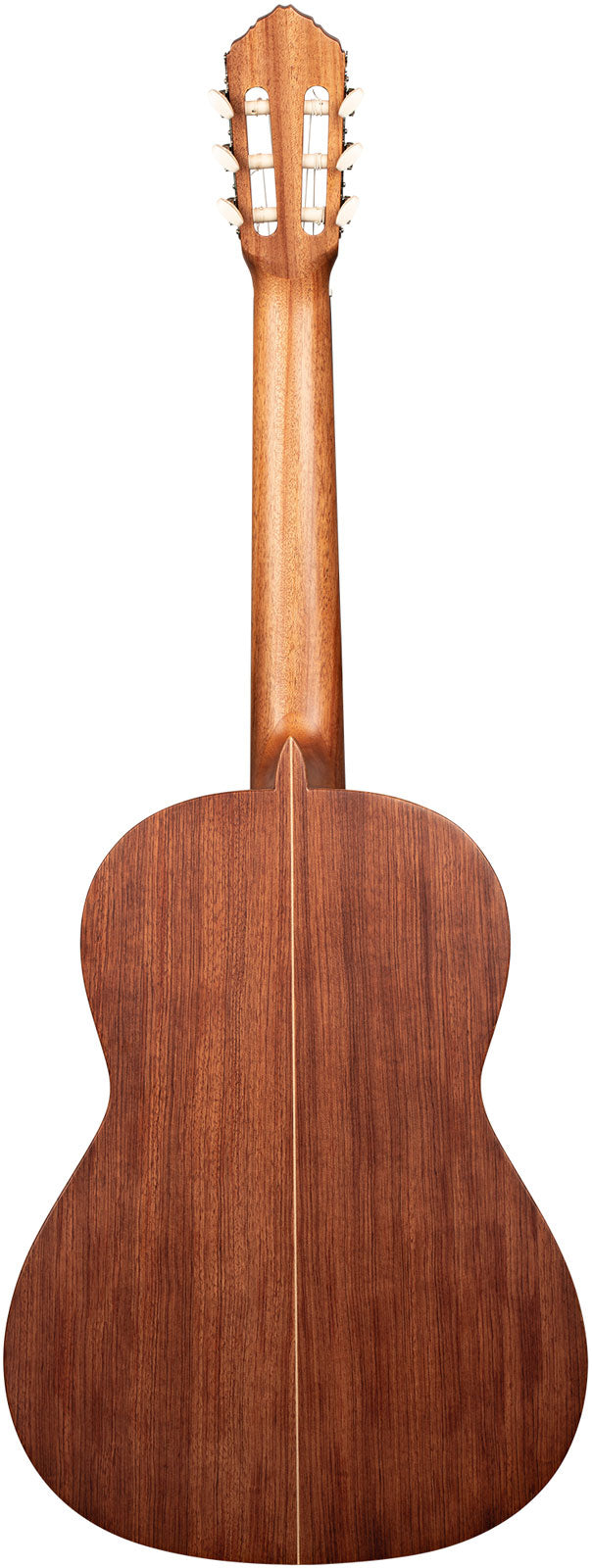 Traditional 4/4 + Pro-Gigbag