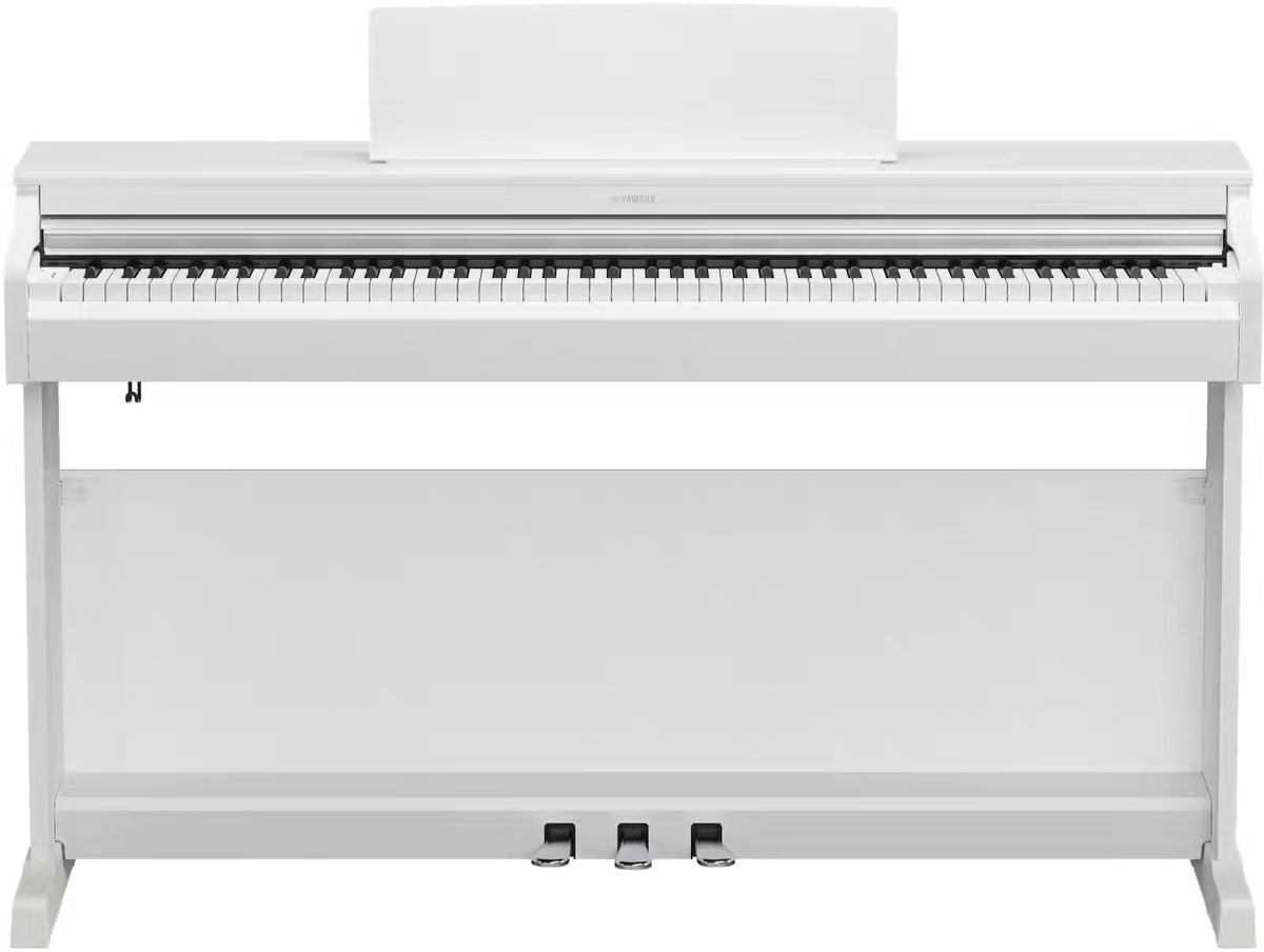 YDP-166 Blanc