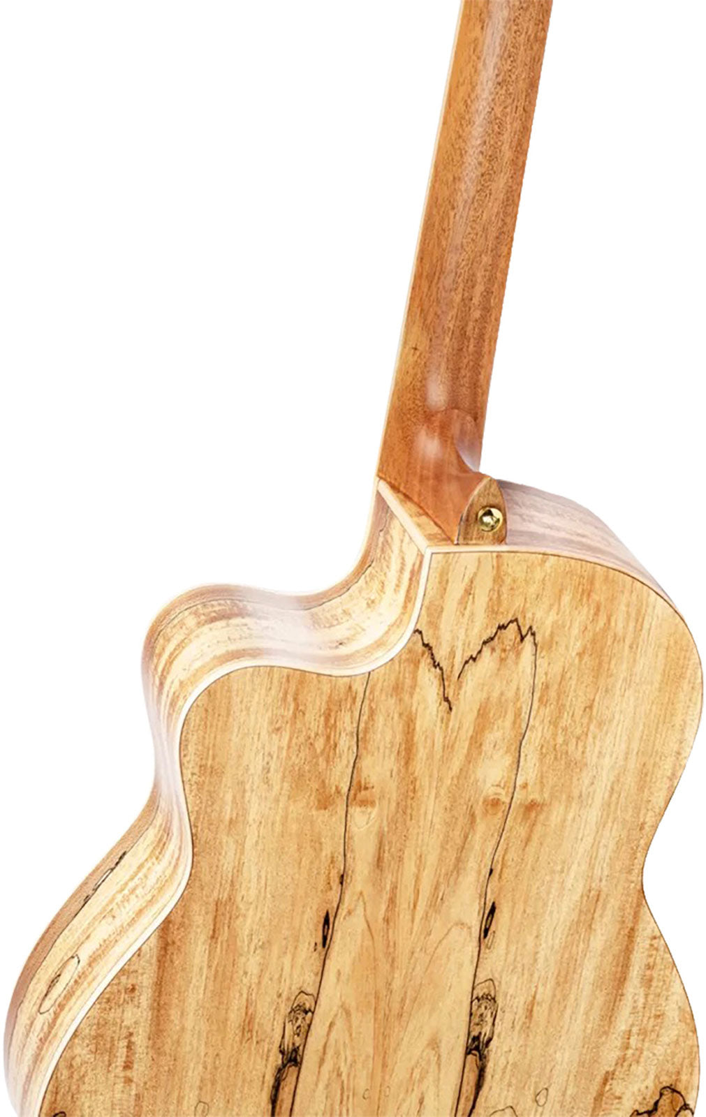 Thomas Zwijsen CW EQ