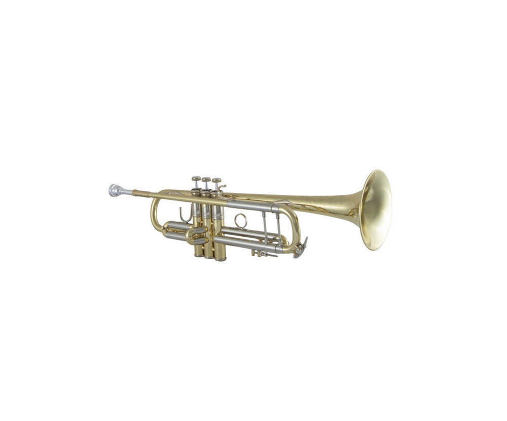 19043 Stradivarius - Sib Vernie