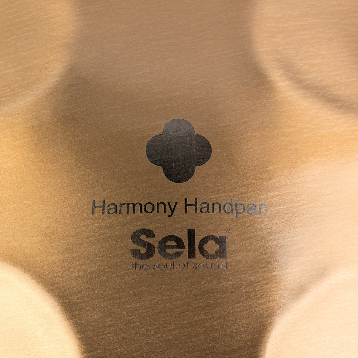 Harmony Handpan D Amara 11+1 - Stainless Steel