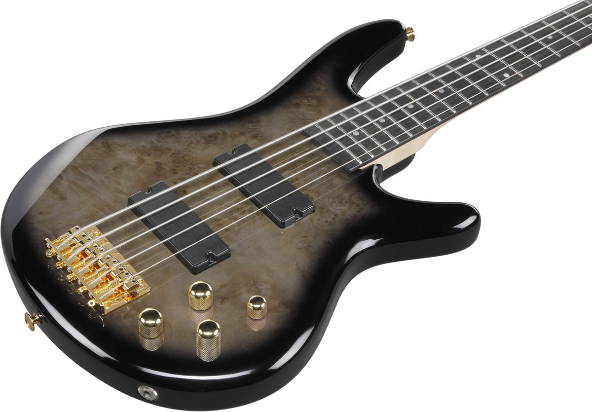 GSR205PCTPB Transparent Pale Black Burst