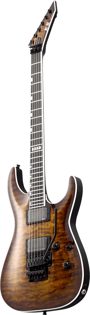 2Hori2Fr-Tesb Sunburst