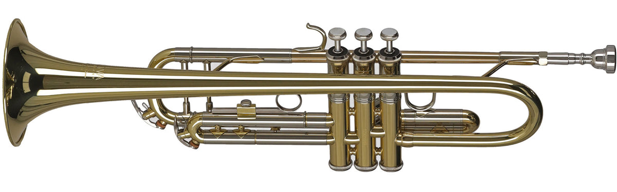 Ambition TR501 Sib Vernie
