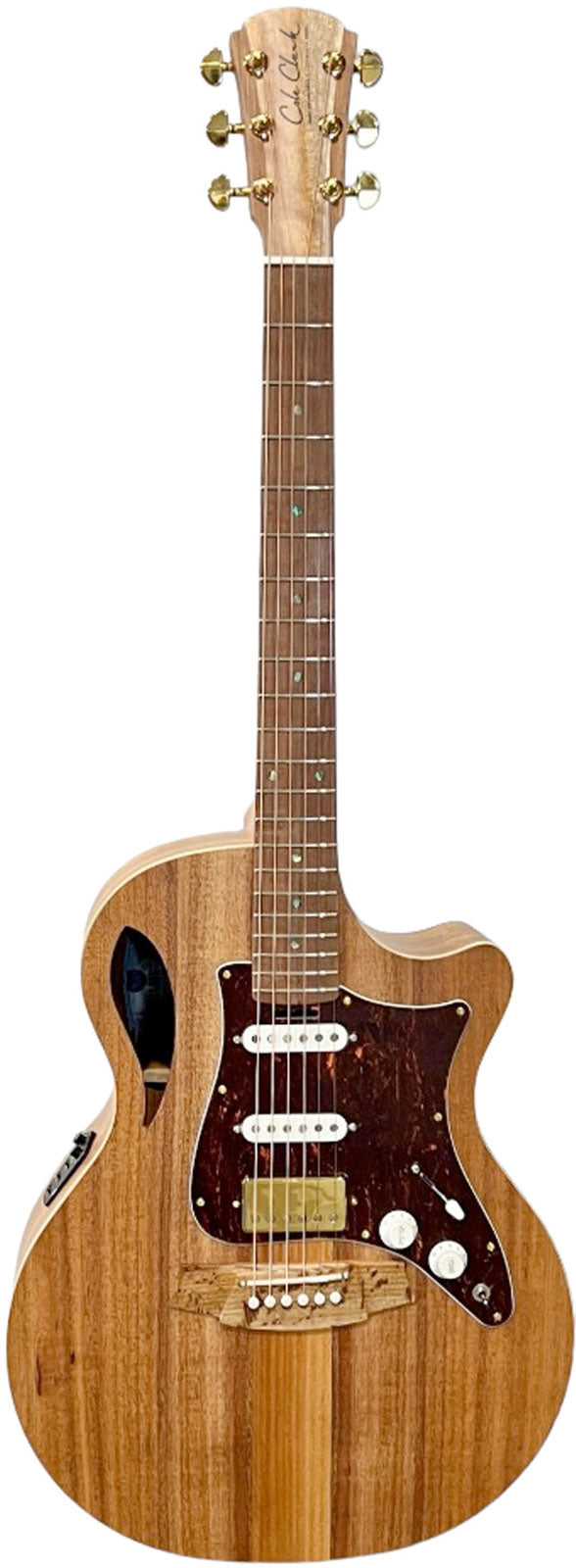 AN2EC-BLBL-HSS Case