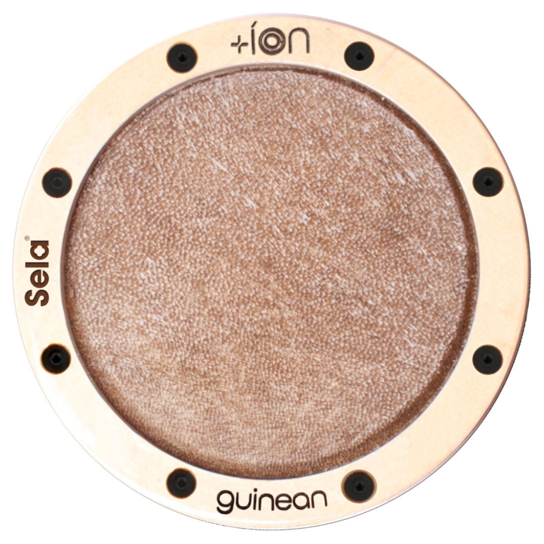 Ion for Iconic Cajon - Guinean