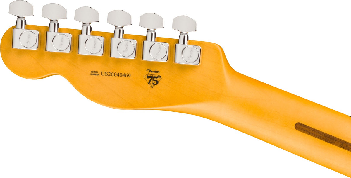 Telecaster American Professional, MN Aged Cherry Burst