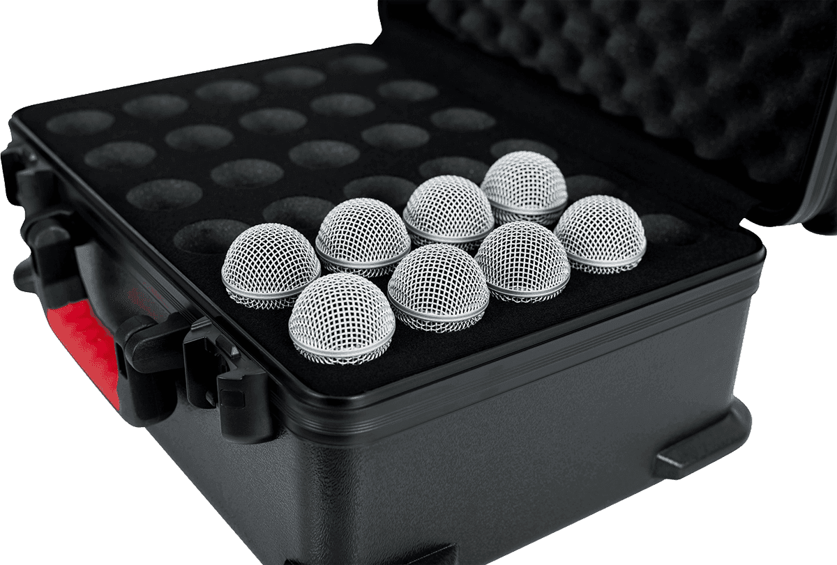 GTSA-MIC30