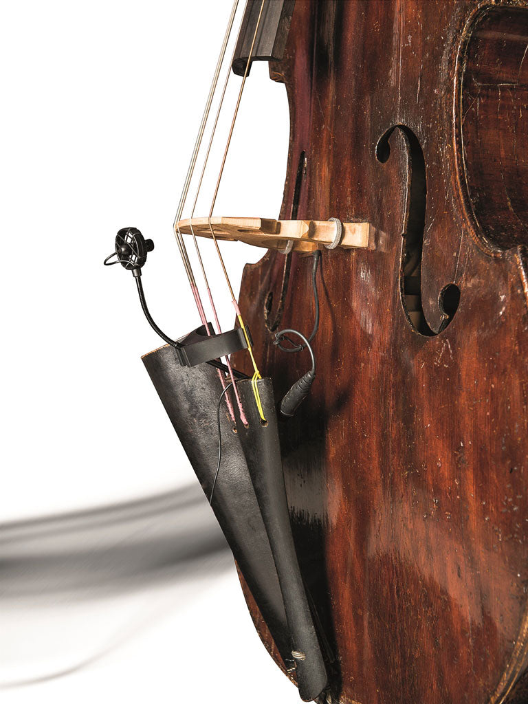 CL21 Lanen Violoncello