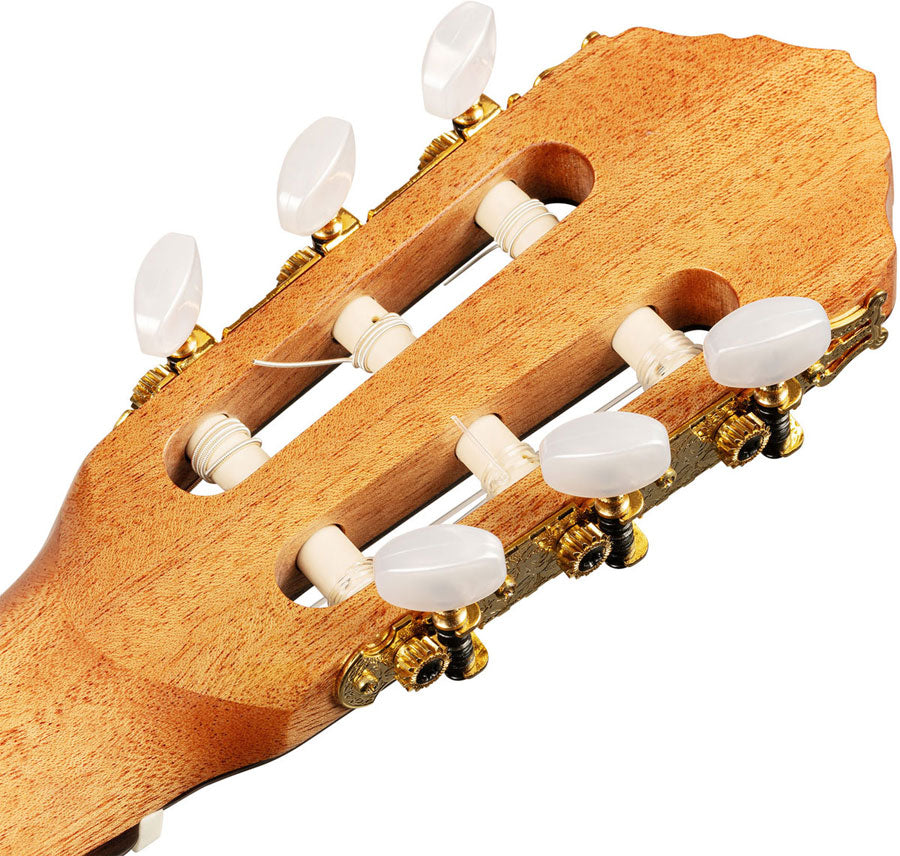 Traditional 4/4 6 LH + Pro Gig Bag