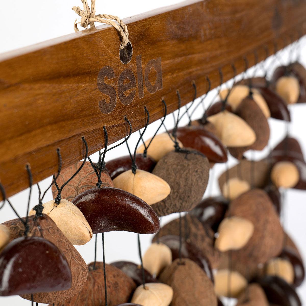 SESDC6 Seed Chime Gemischt