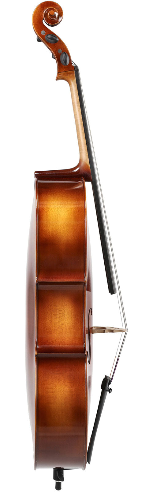 ANNIVERSARY CELLO 4/4 SET UP