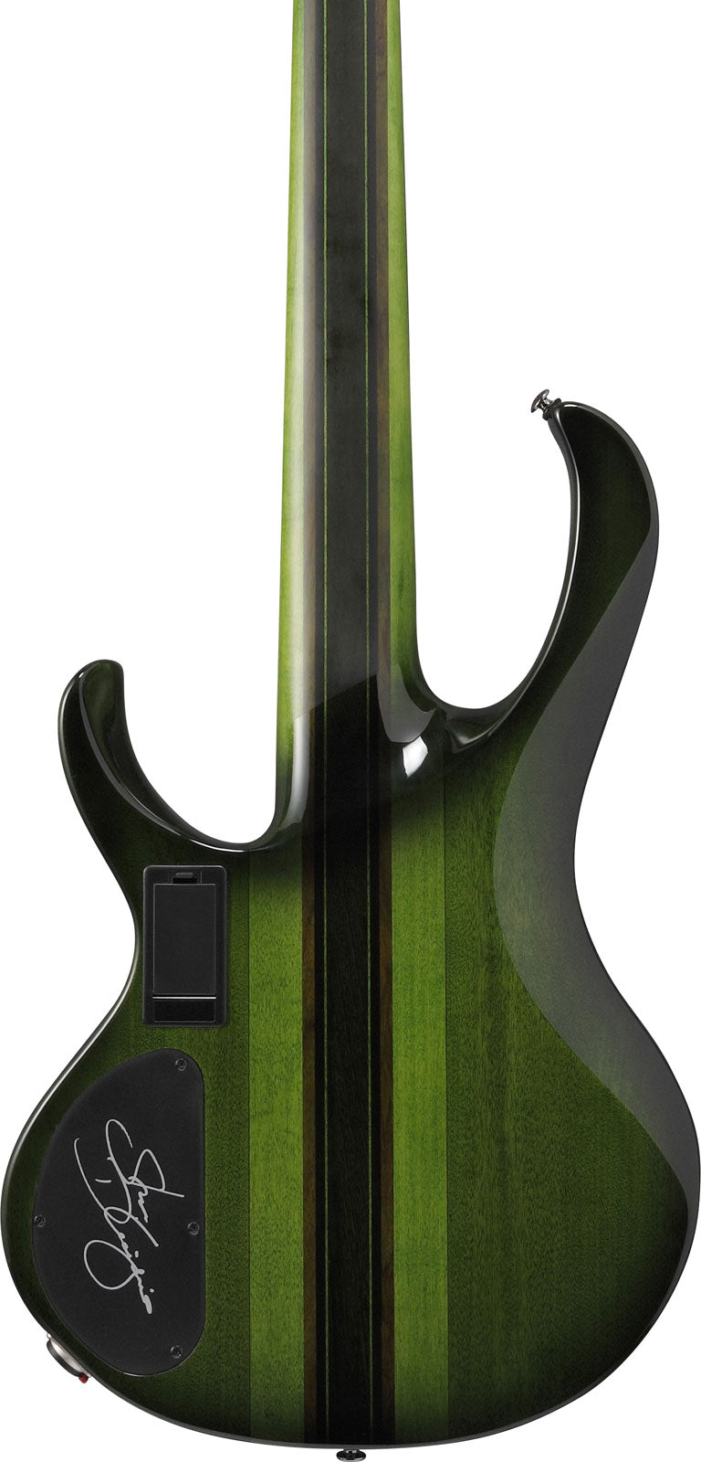 SDGB1-DMT Burst muschio scuro Signature Steve Dirgio