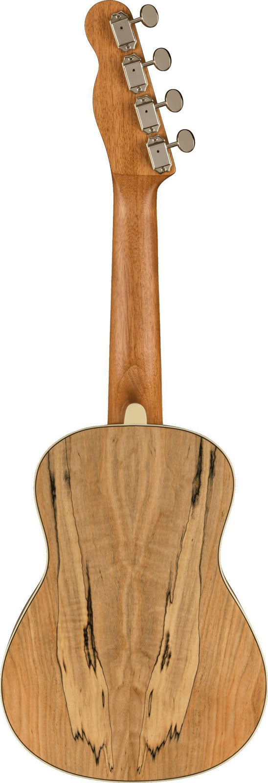 Zuma Uke Exotisch Konzert Wn Spalted Maple