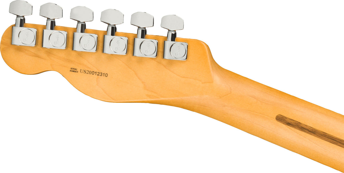 Telecaster American Professional II RW Dunkle Nacht